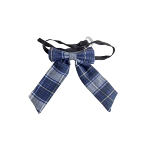 BOW