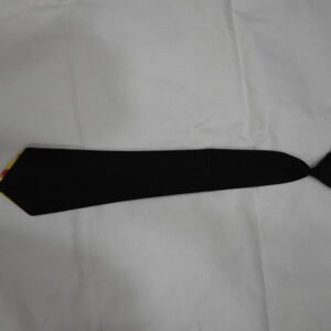ST. JOHN INTERNATIONAL SCHOOL - TIE