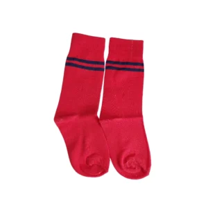 PT-SOCKS