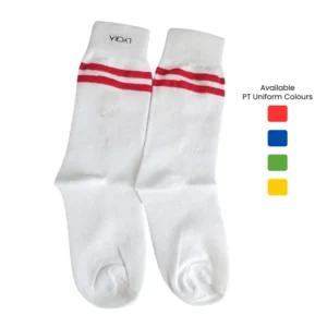 PT - SOCKS
